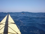 A folding kayak braving the rough seas