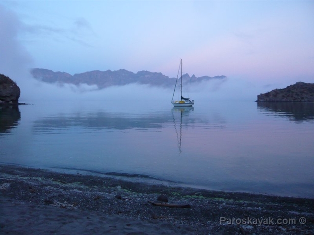 Morning fog in Isla Danzante